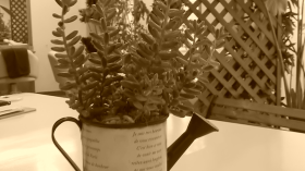 �X���C���[�W